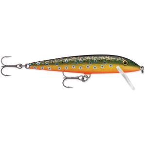 Rapala Countdown CD11 11cm 16g BTR Brook Trout wobler