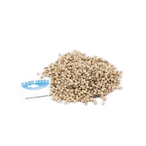 Carp Seeds Łubin Surowy 5kg