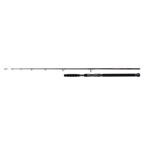 Shimano BeastMaster AX Catfish Vertic Spin 185cm 200g wędka