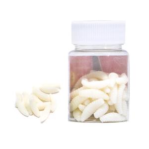 Miarcle Fish Robak w Słoiczku 50szt Biały