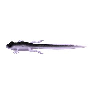 Libra Lures Frog Tradpole Tail 8,2" 120 Violet Shine