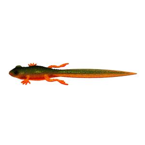 Libra Lures Frog Tradpole Tail 8,2" 111 Angry Carrot
