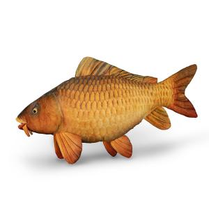 Delphin Carpy Pluszowy Karp 60cm