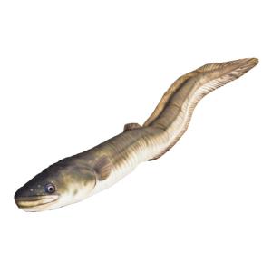 Ryba Maskotka Węgorz 115cm