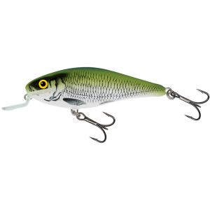 Salmo Executor Shallow Runner 7cm 8g Olive Bleak wobler
