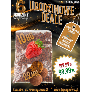 Kulki Zanętowe Economy 22mm 10kg Inferno Truskawka