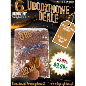Kulki Zanętowe Economy 22mm 5kg Squid
