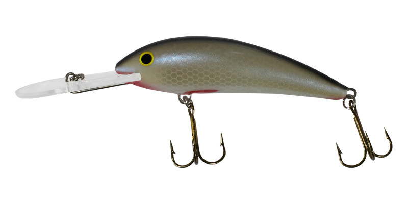 Gloog Kalipso 80 SDR Floating 8cm 11g NP wobler
