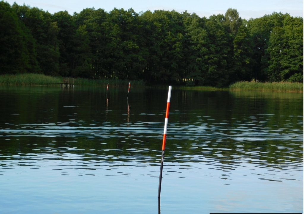Carp Marker LED Czerwony Marker Karpiowy 10m z Głowicą   

