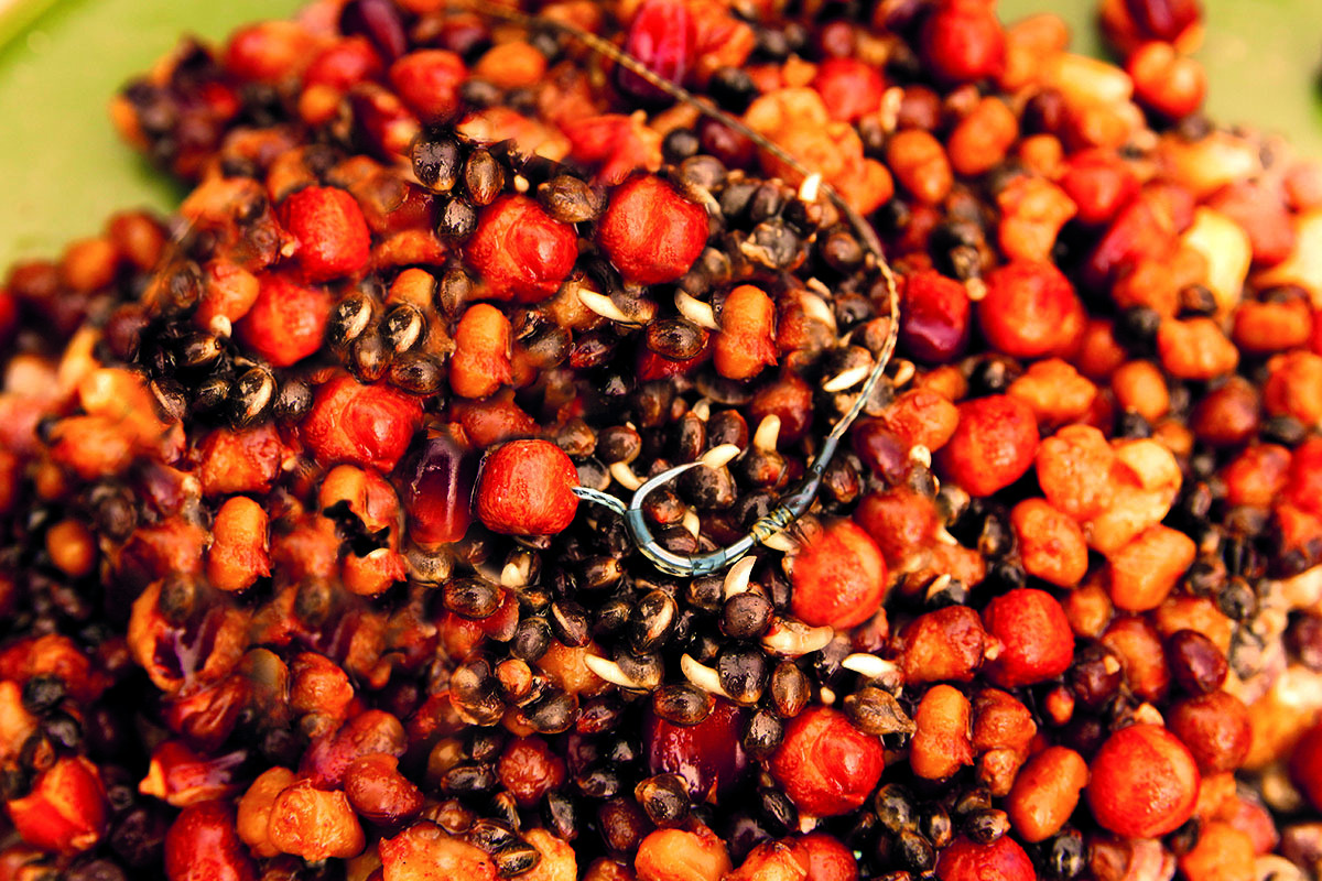 Dynamite Baits Krill Pulses Particles 2.5l mix ziaren