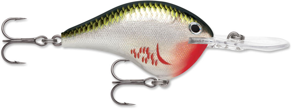 Rapala Dives-To DT16 7cm 22g BOS Bleeding Olive Shiner wobler