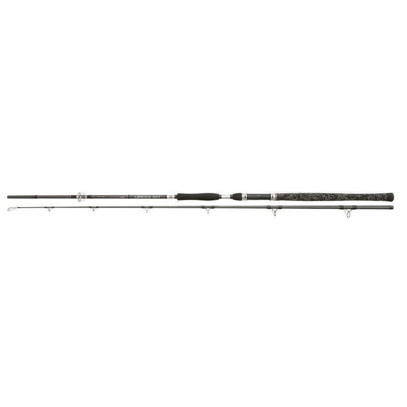 Penn Legion Cat Silver Allround 300cm 100-300g wędka sumowa