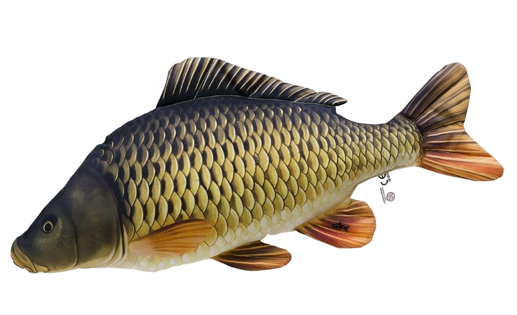 Ryba Maskotka Zabawka Pluszak Karp Pełnołuski 60cm