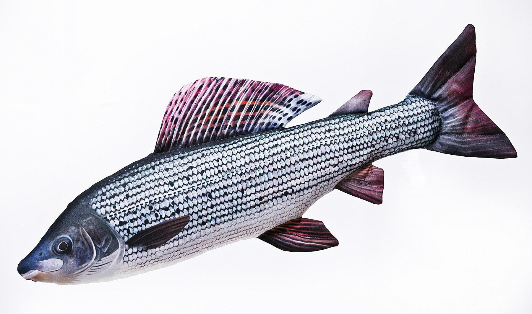 Ryba Maskotka Zabawka Pluszak Lipień 62cm