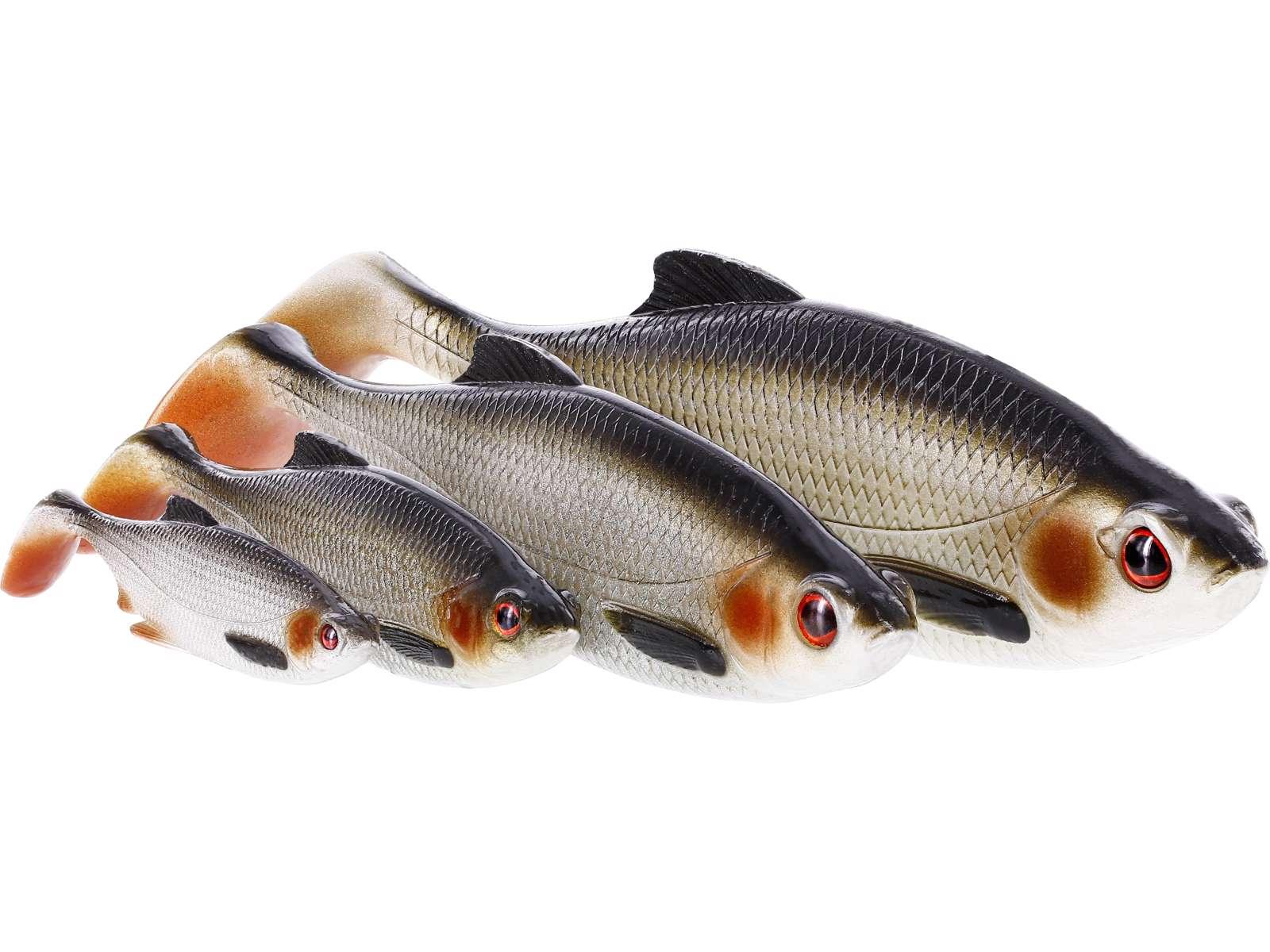 Westin Ricky the Roach Shadtail 10cm 14g Gold Rush