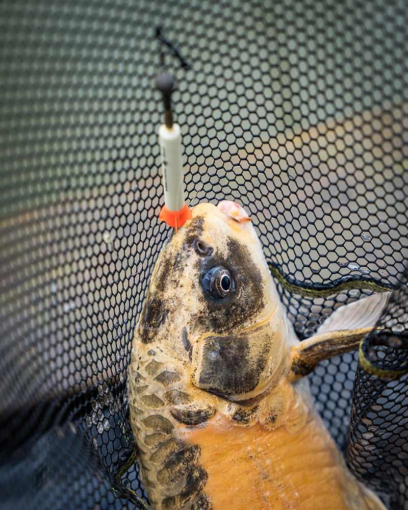 Matrix Foam Pellet Waggler 9mm 6g spławik