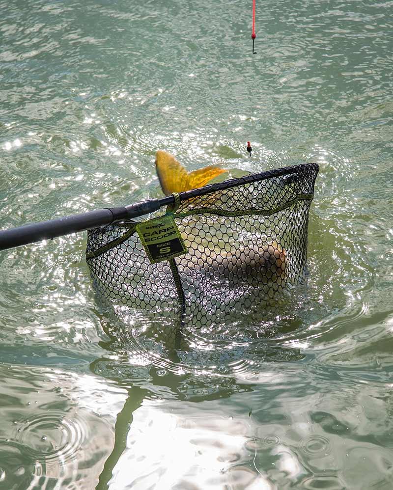 Matrix Carp Scoop Net L 55x45cm kosz podbieraka