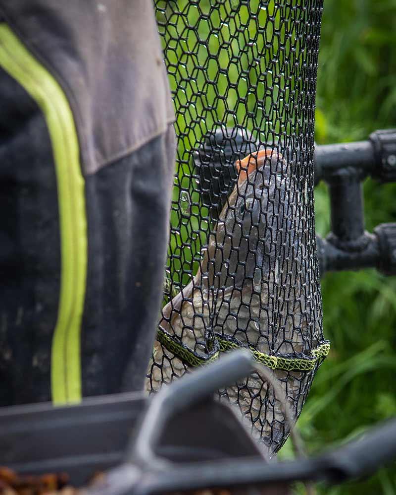 Matrix Carp Scoop Net XL 60x50cm kosz podbieraka