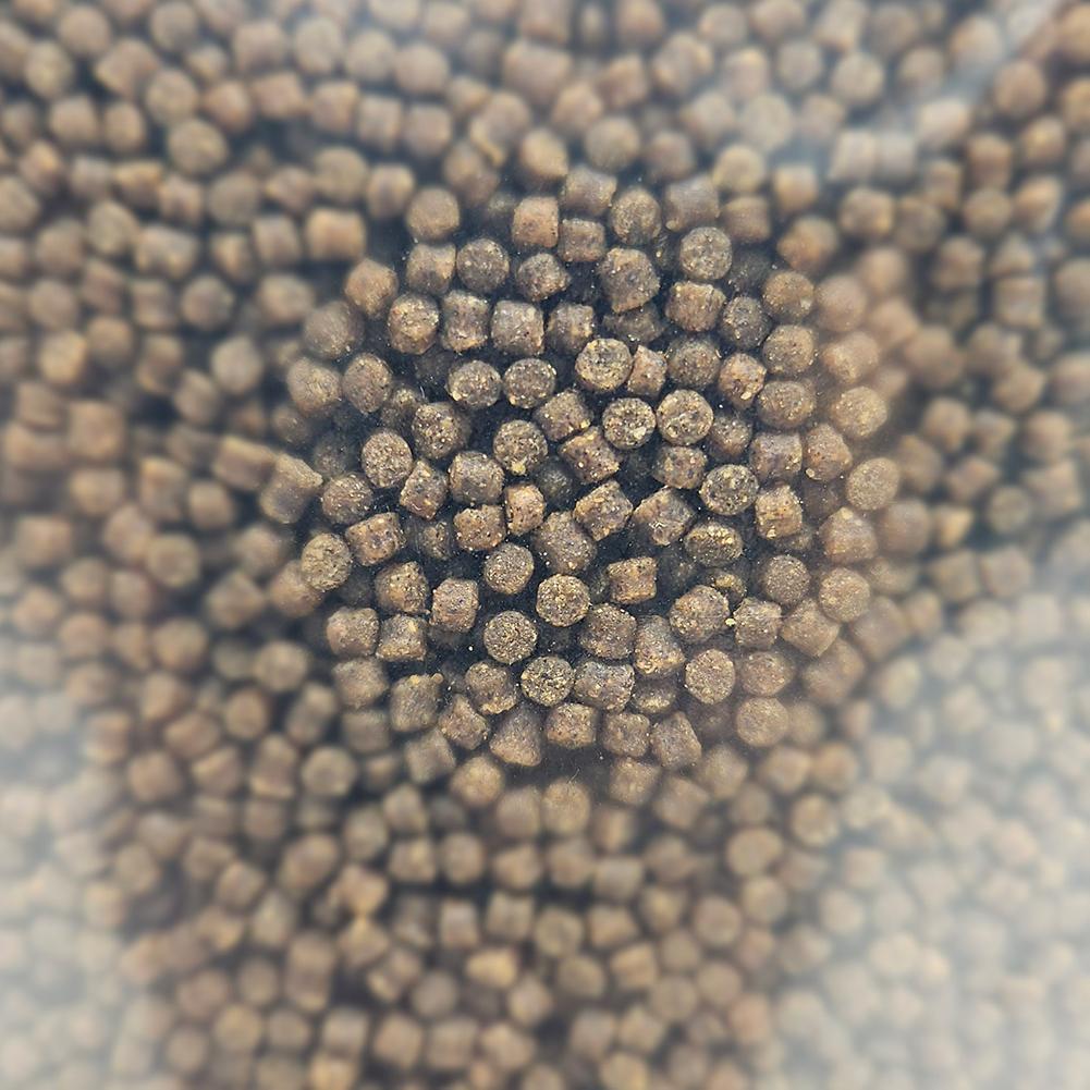 Feeder Bait Club Series Carp Complex Pellet 2mm