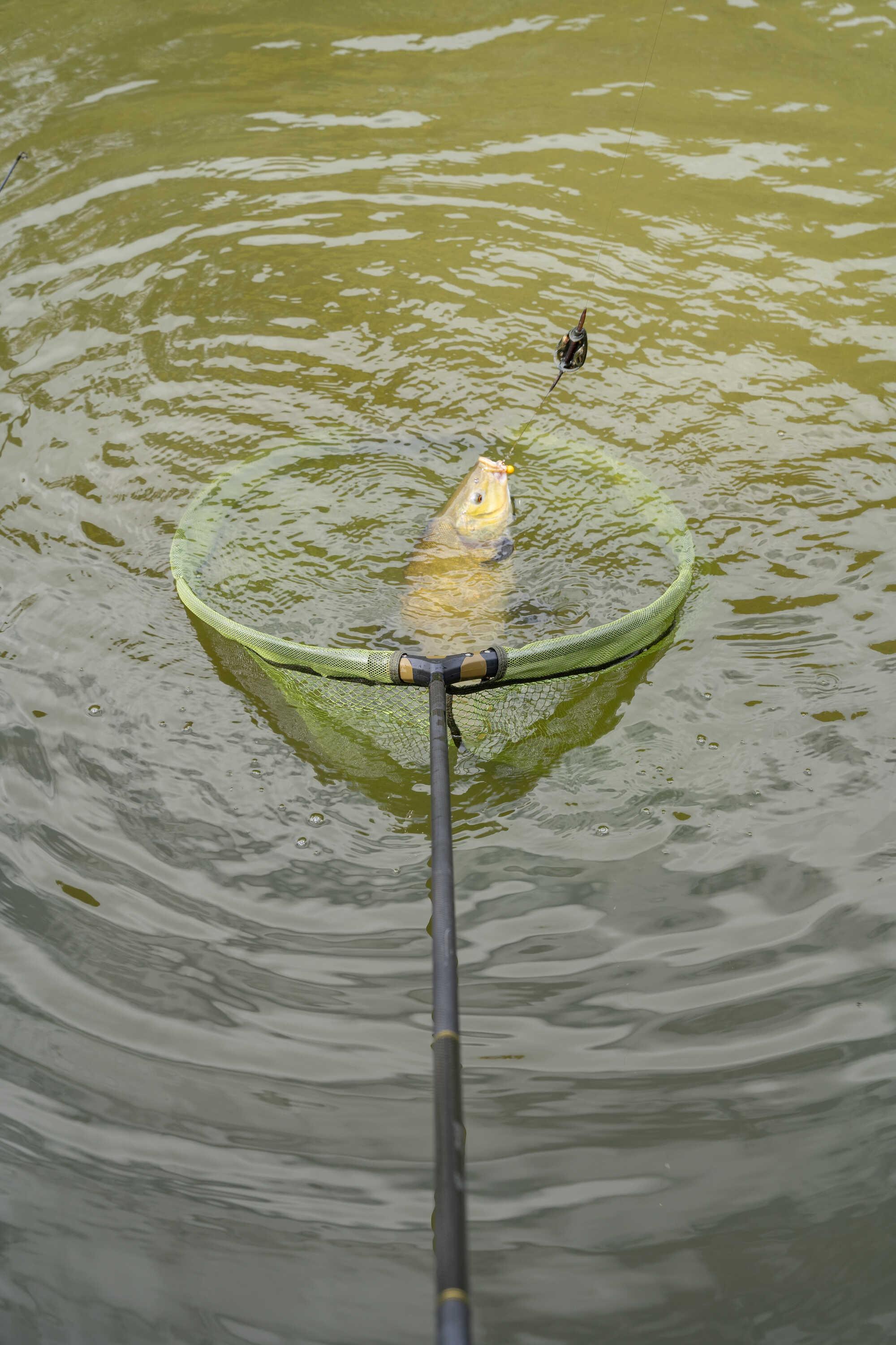 Korum Folding Spoon Latex 26" podbierak