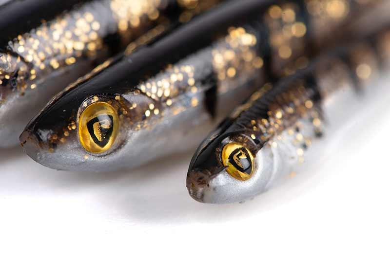 Fox Rage Slick Shad 11cm Glitter Perch