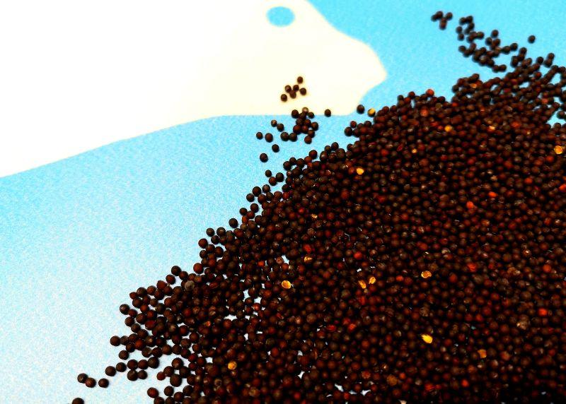 Carp Seeds Rzepik Surowy opakownaie 5kg