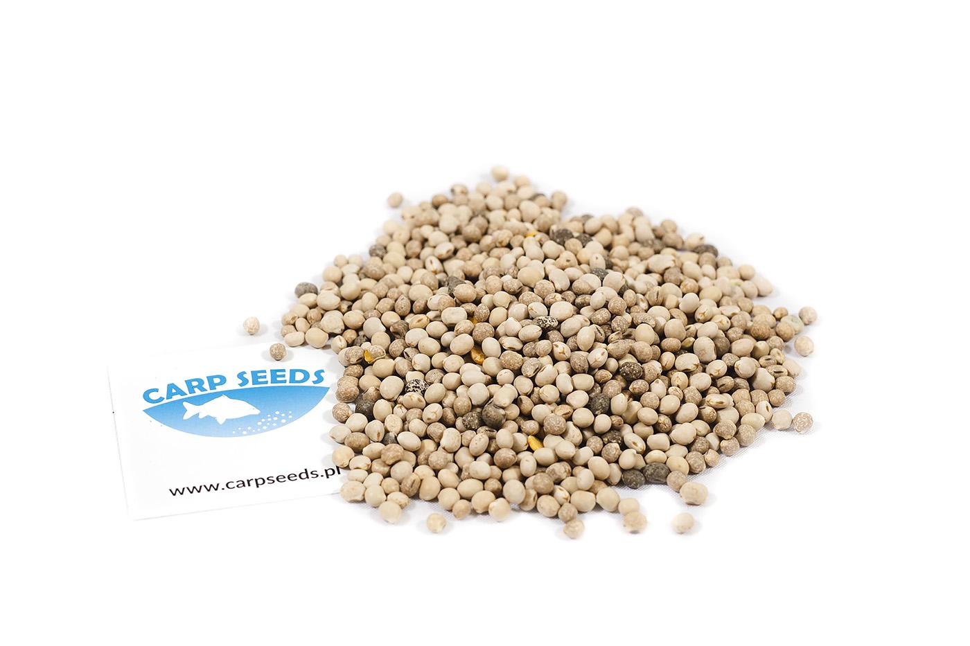 Carp Seeds Łubin Surowy 5kg