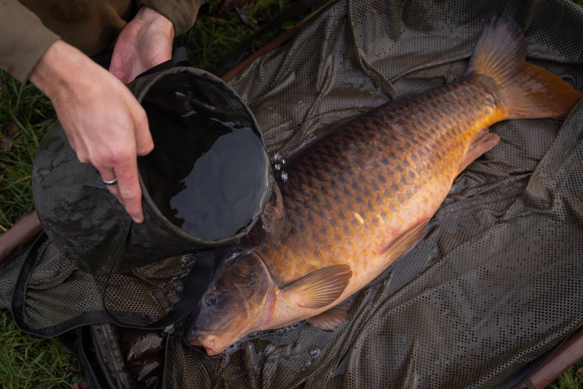 Korda Compac Water Bucket składane wiaderko