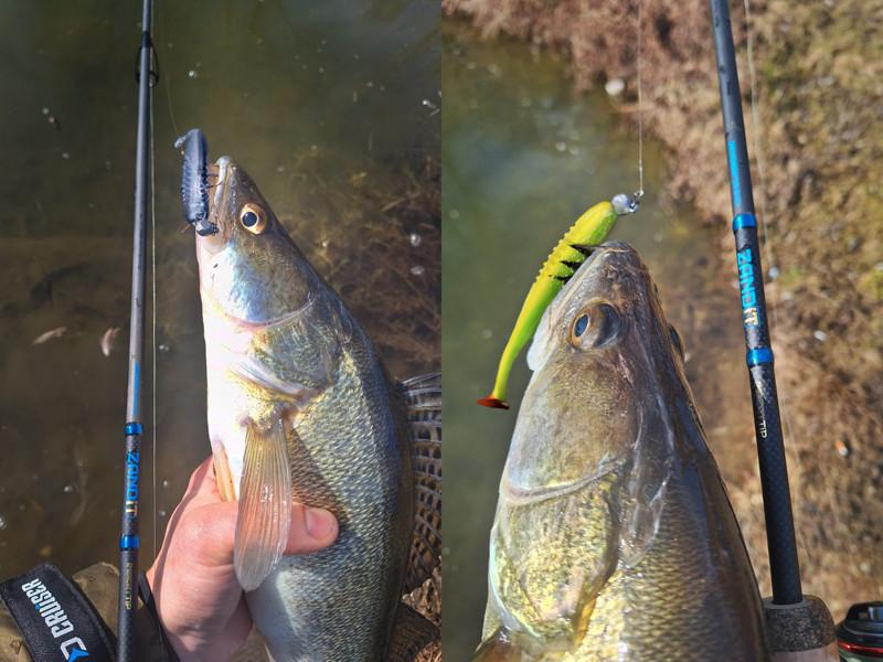 Delphin Zandit 230cm 25g 2s wędka