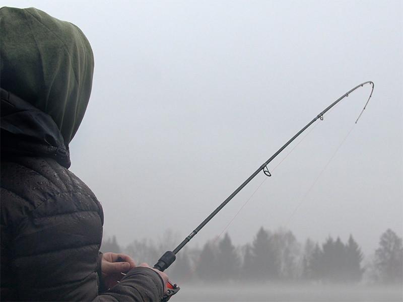 Delphin BANG Darx 210cm 2-7g 2s wędka