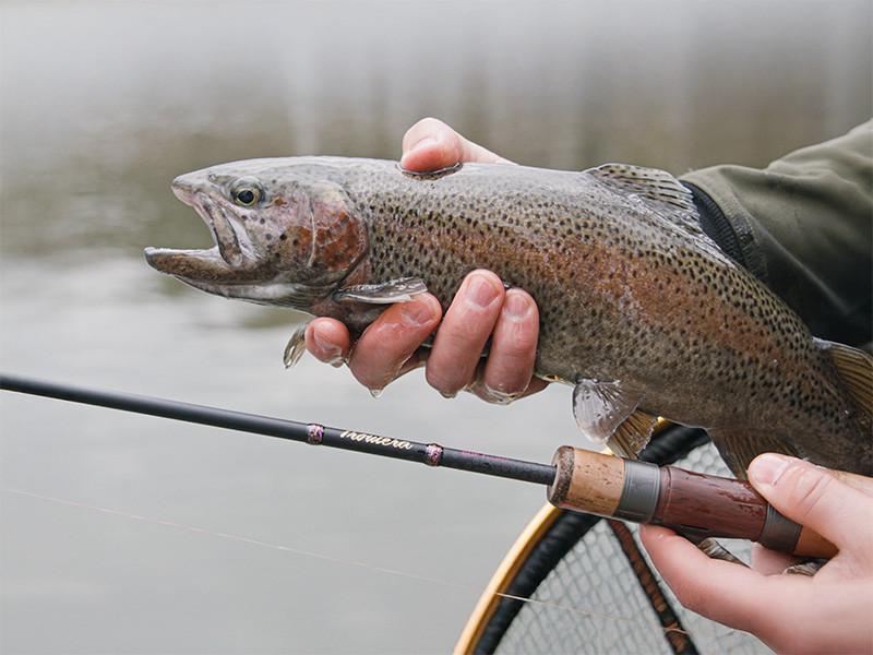 Delphin Troutera SoftLure 210cm 1-7g 2s wędka