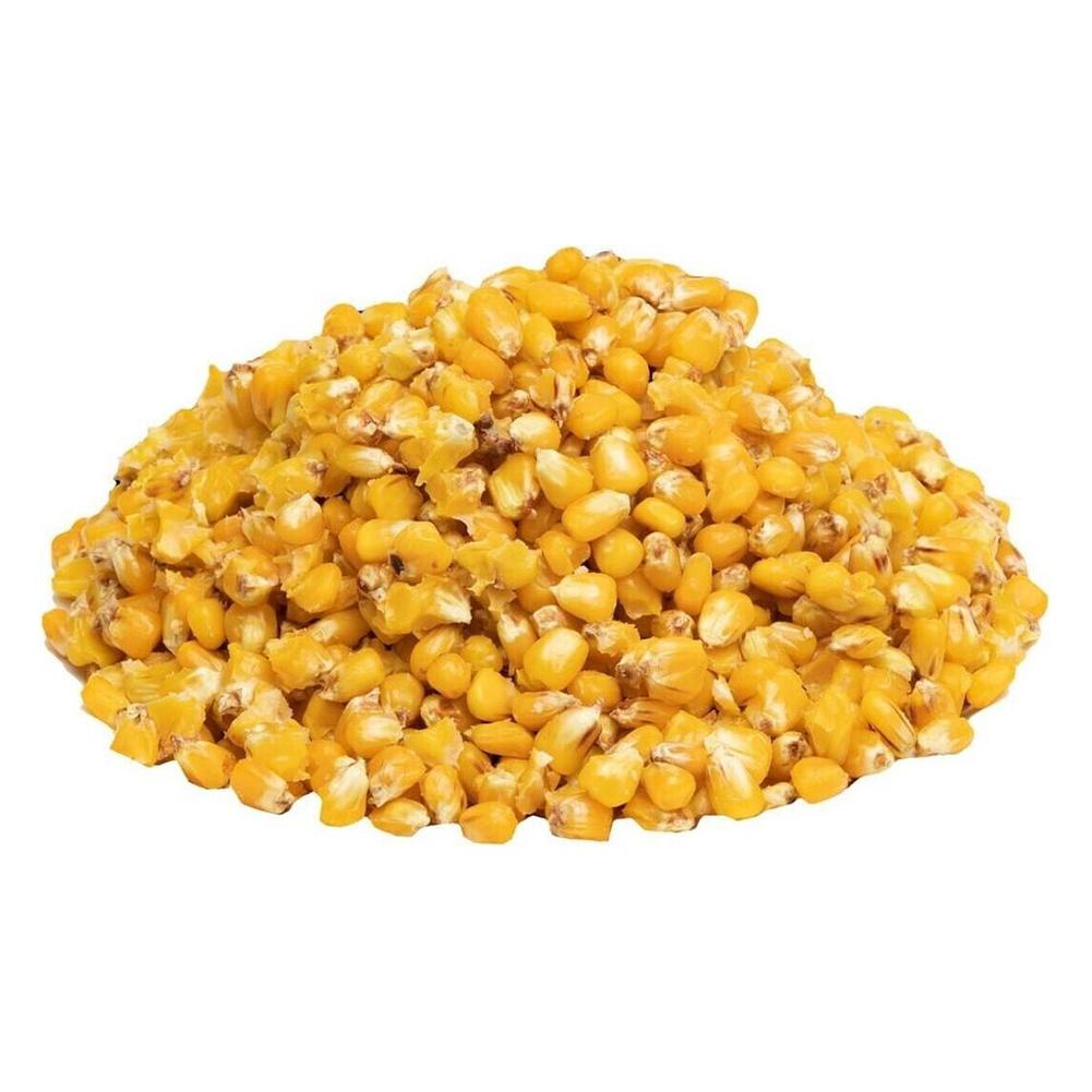 Carp Seeds Kukurydza Surowa 5kg worek