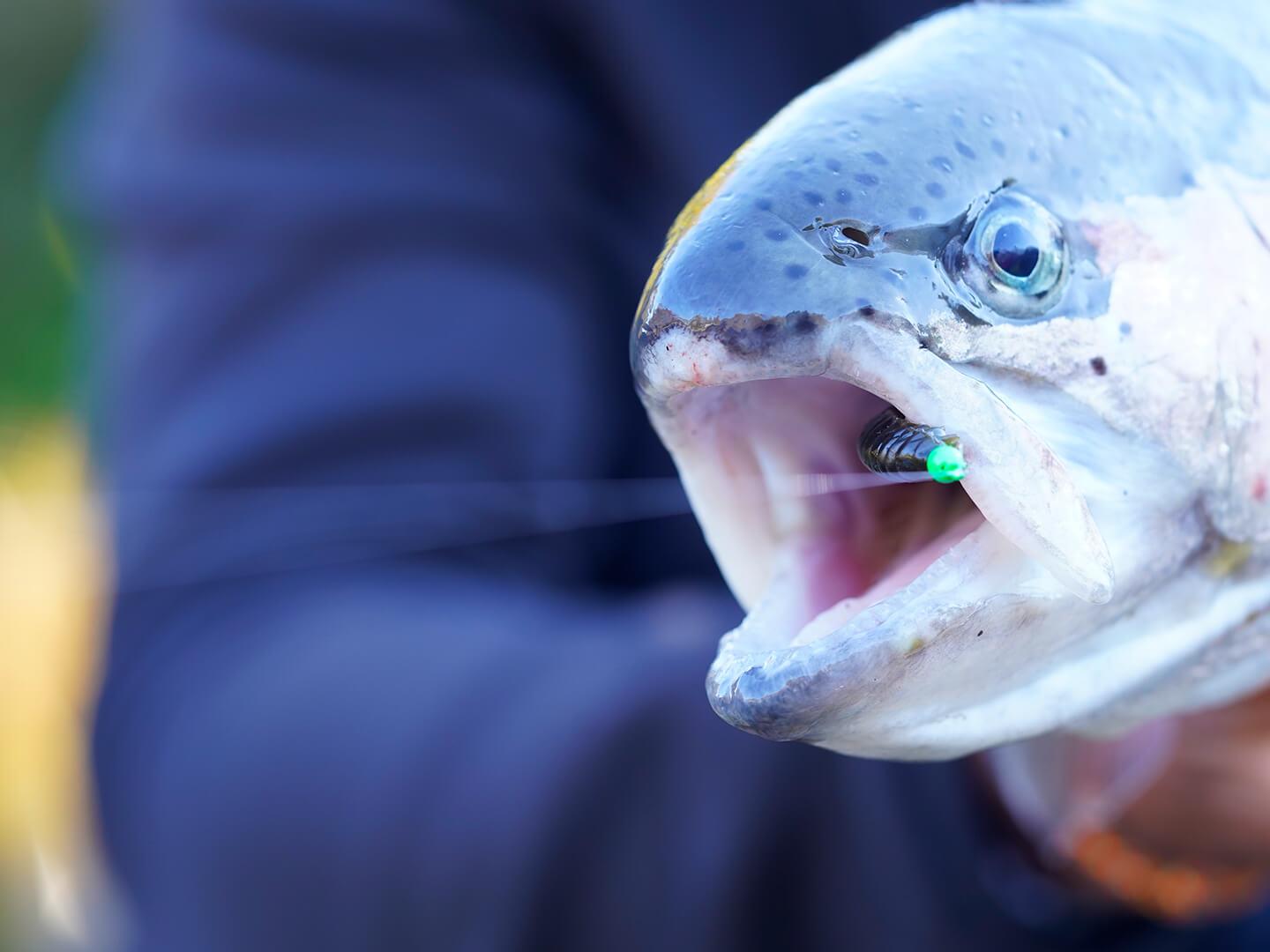 Trout Master Camola 30 15szt. Glow