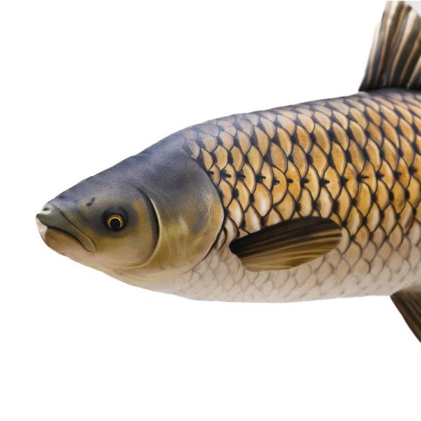 Ryba Maskotka Amur 75cm