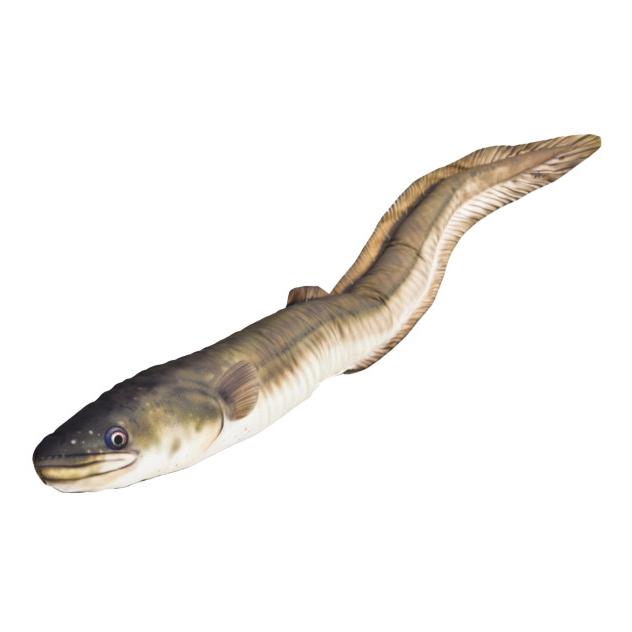 Ryba Maskotka Węgorz 115cm