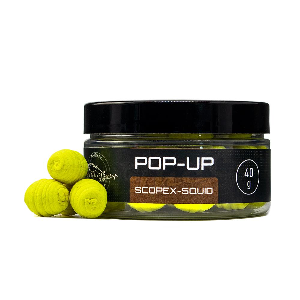 WarTheCarp PromoBox 3kg Scopex Squid